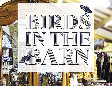 Birds in the barn