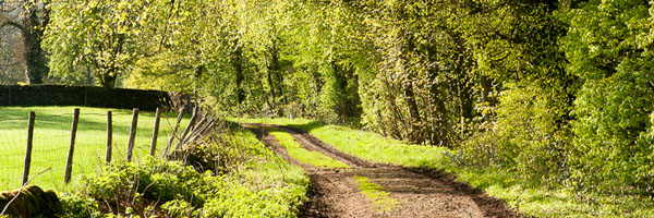 Green Lane, Grindleton