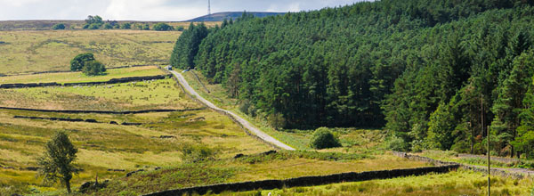 Grindleton Fell